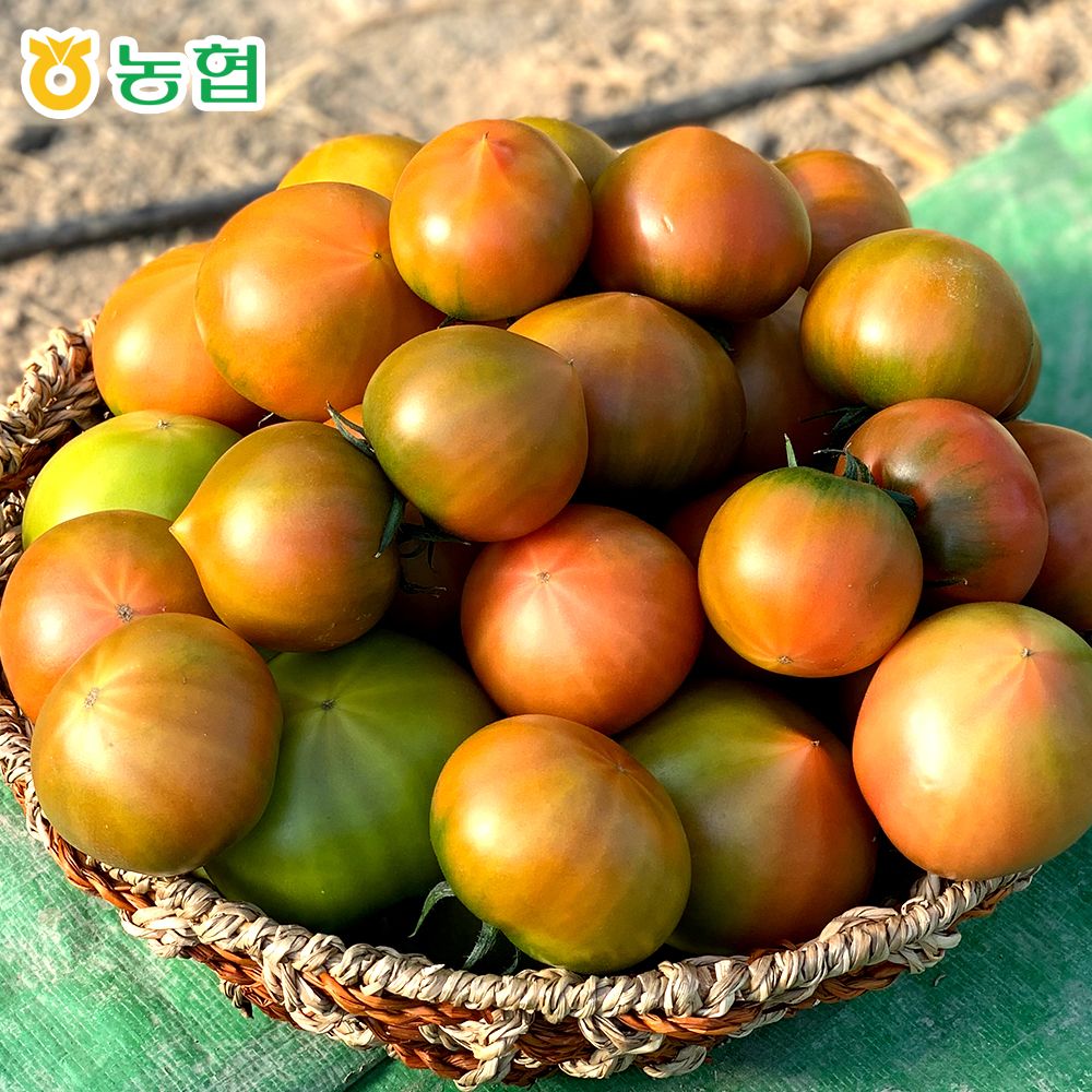산해직송 [농협직송] 대저 특품 토마토 1kg 실중량 외 짭짤이 2.5kg 산지직송 / 사이즈 선택
