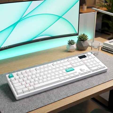 다얼유 A104 MASTER 8K 망고캣 / 서울