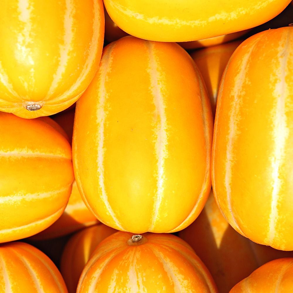 오올블루 실속형 가정용 성주 참외 혼합과(랜덤과) 1~10kg