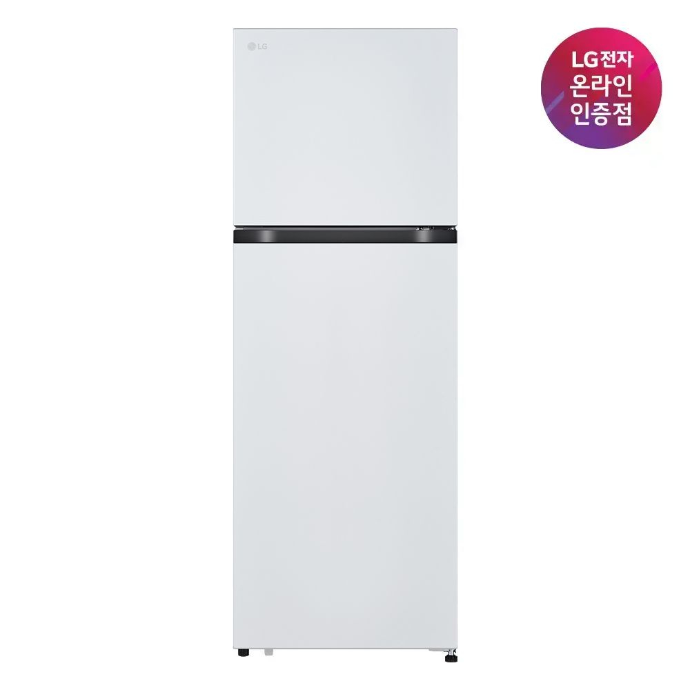 LG전자 LG 일반냉장고 B245W22 241L 화이트