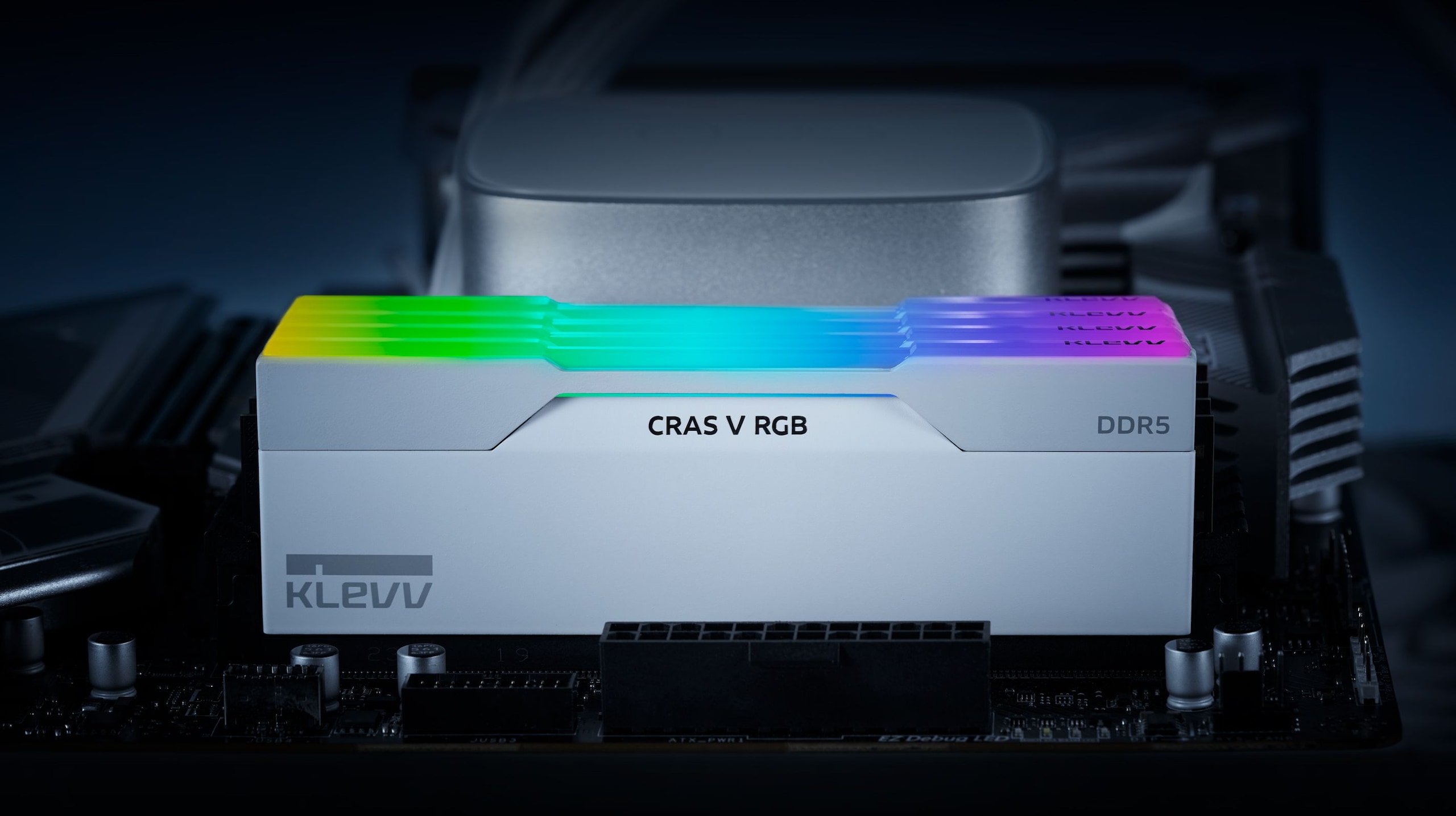 에센코어 클레브 6000 CL30 CRAS V RGB 화이트 AMD 패키지 32GB(16Gx2)