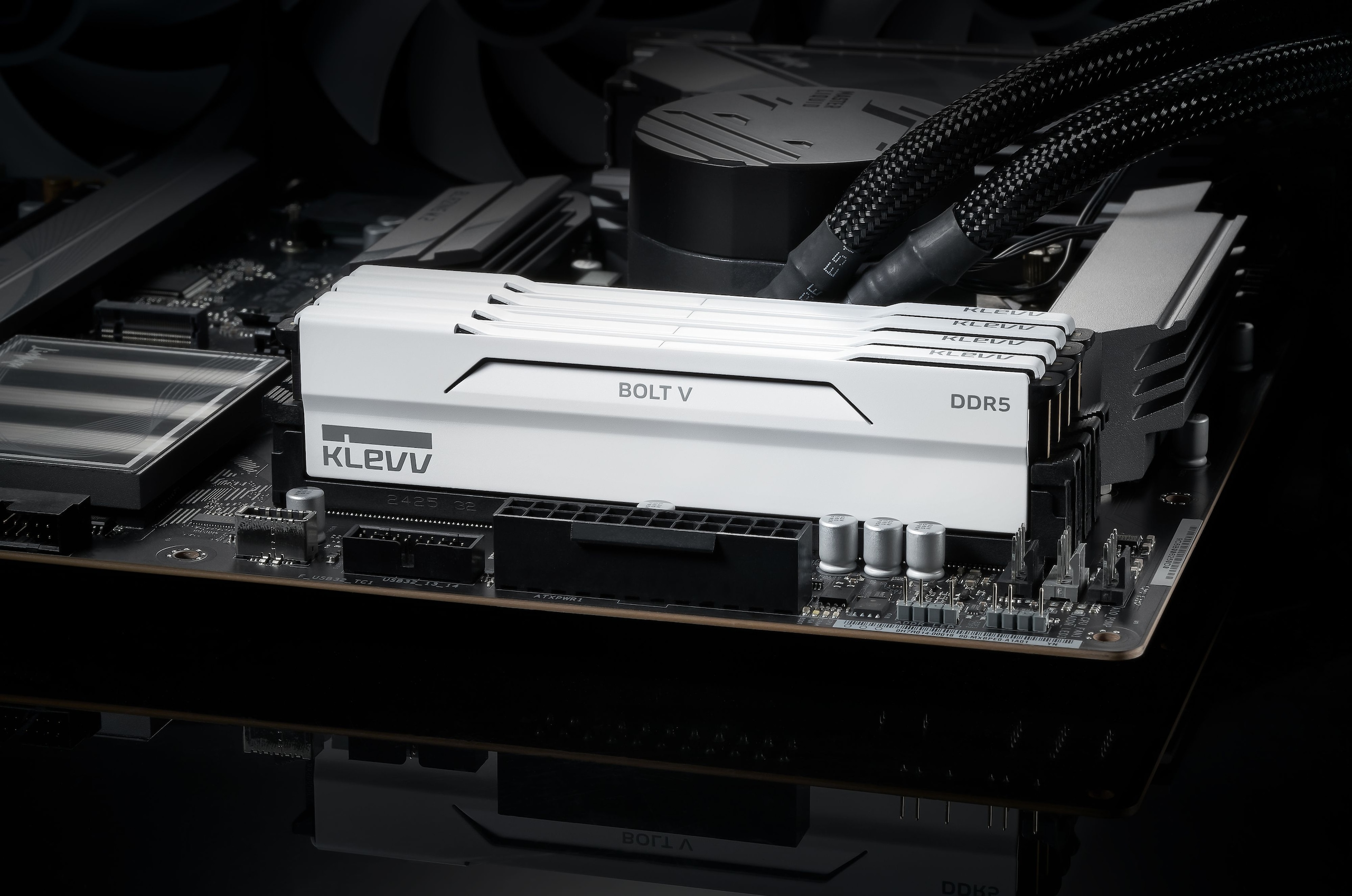 에센코어 클레브 6400 CL32 CRAS V RGB 화이트 AMD 패키지 32GB(16Gx2))