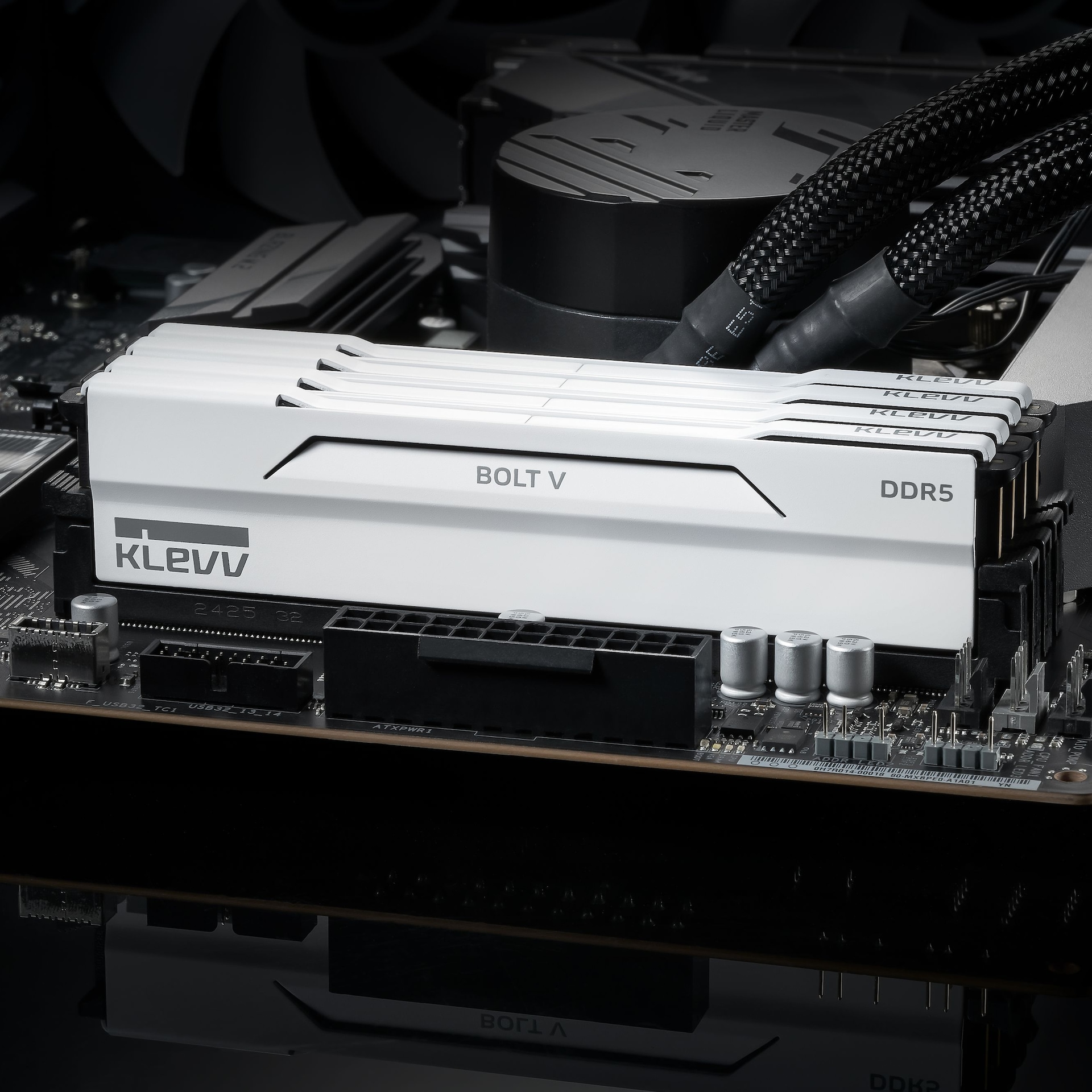 데스크탑·올인원PC > 클레브 6400 CL32 CRAS V RGB 화이트 AMD 패키지 32GB(16Gx2)) | 오늘의집 쇼핑