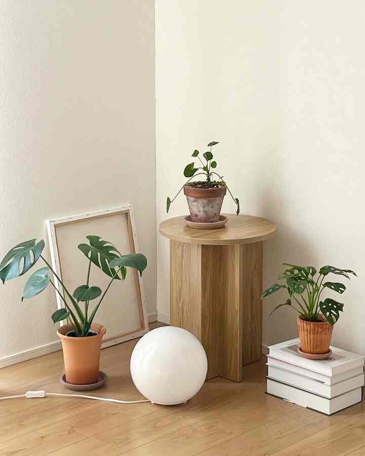 プラントスタンド新調🪵🪴🤎

#셀프인테리어 #빈티지인테리어 #빈티지소품 #우드인테리어 #식물 #식물인테리어 #観葉植物 #韓国インテリア #丸テーブル #ラウンドテーブル #サイドテーブル #マイホーム