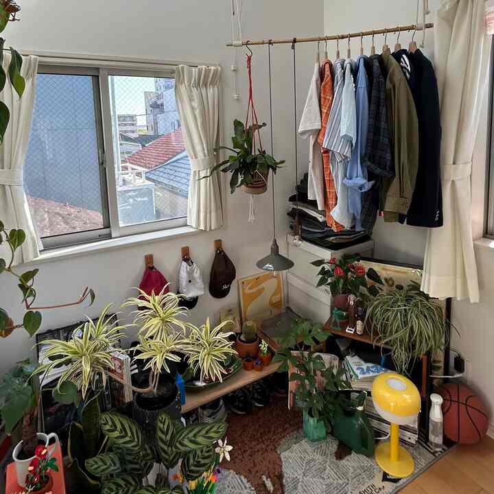 #インテリア #マイルーム #植物
#interior #oneroom