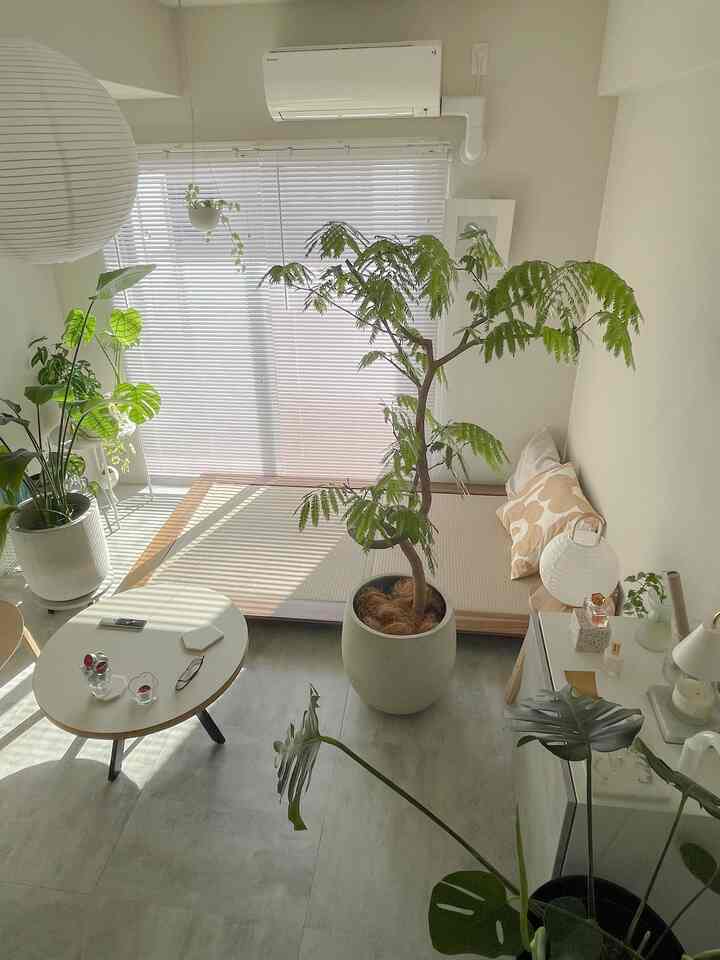 Natural-toned living room featuring a large central plant and tatami area with minimalist decor