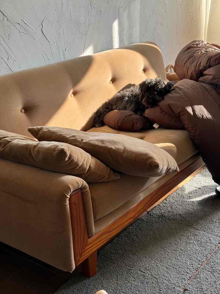 暖かいベージュの色調のリビング、クッションと犬が置かれたベージュのソファが配置された雰囲気のある空間