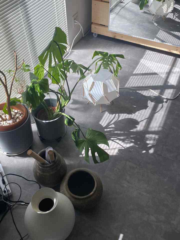 ubin lantai abu-abu
Mudah dipasang dengan Rakuten

#Rakuten