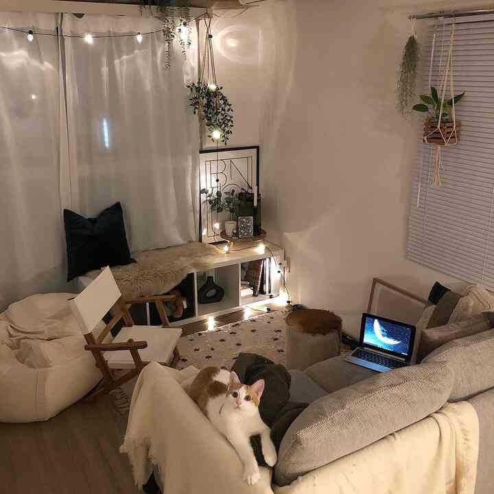 White and beige toned living room featuring a gray sofa, bean bag, and a cat lounging creating a cozy atmosphere