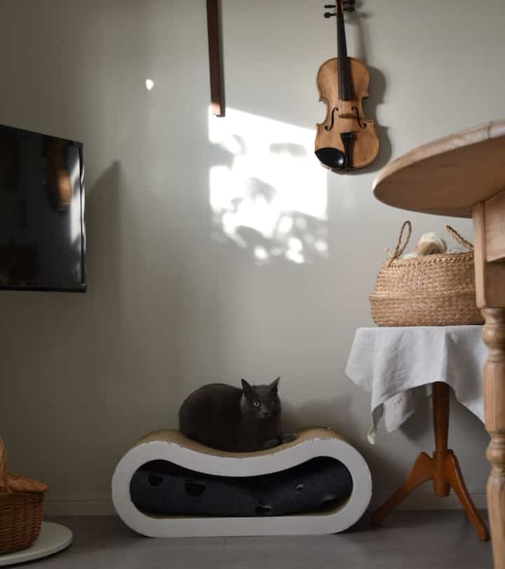 Natural-toned living room with a gray cat resting on a cat scratcher, a violin hanging on the wall, creating a cozy atmosphere