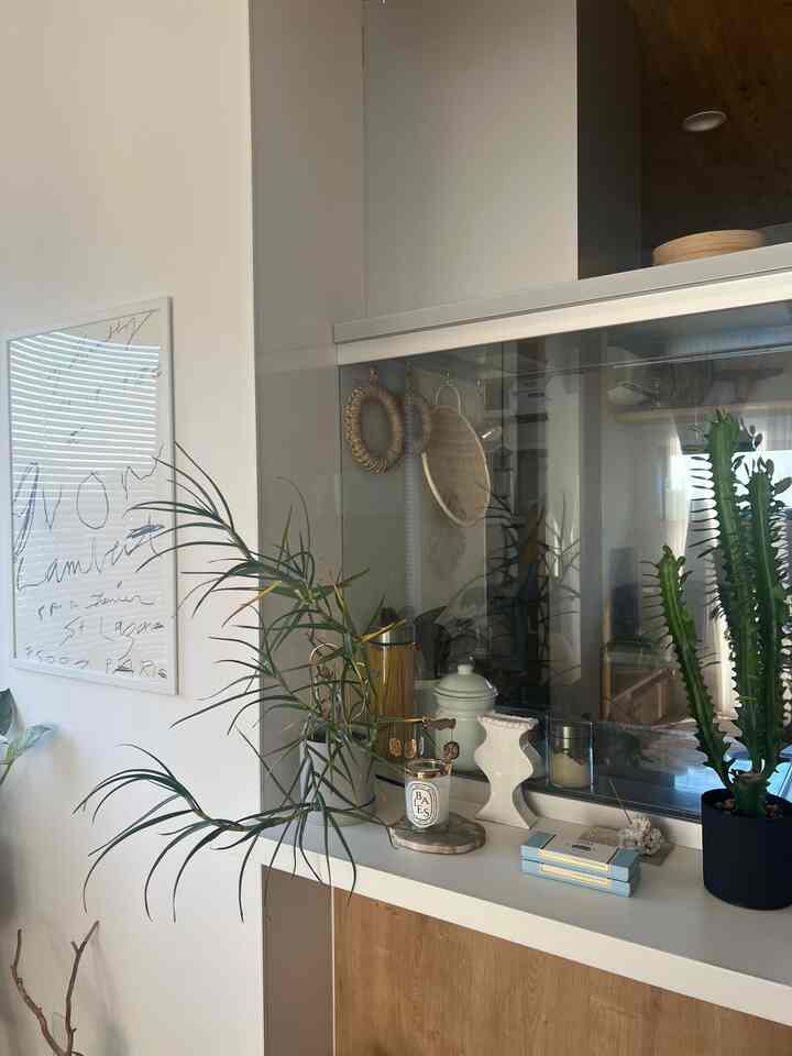 The aloe and Daiunkaku on the counter are growing too much and I'm thinking about what to do 🤔

2023.12.22


#Ornamental plants #astierdevillatte #diptyque