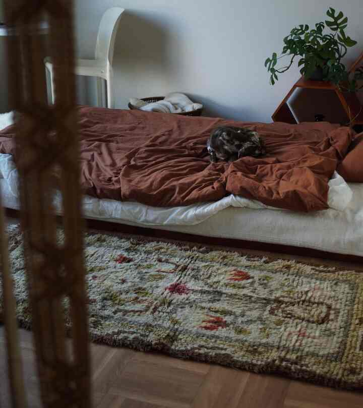 温かみのあるブラウンとナチュラルな木目調の寝室、ペットがいる大きなベッドが配置された落ち着いた空間