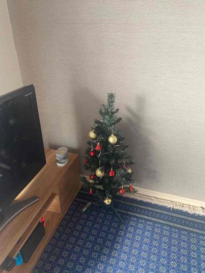 ベージュの壁紙と青い模様のカーペットがあるリビング、ゴールドと赤の飾りがついたクリスマスツリーがテレビ台の横に配置された温かみのある空間