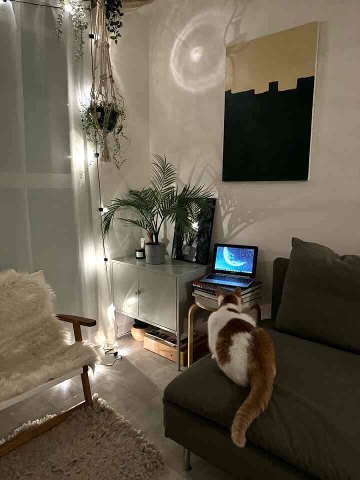 Gray-toned living room featuring a gray sofa, wooden armchair with fur throw, and a cat sitting on the sofa creating a cozy atmosphere