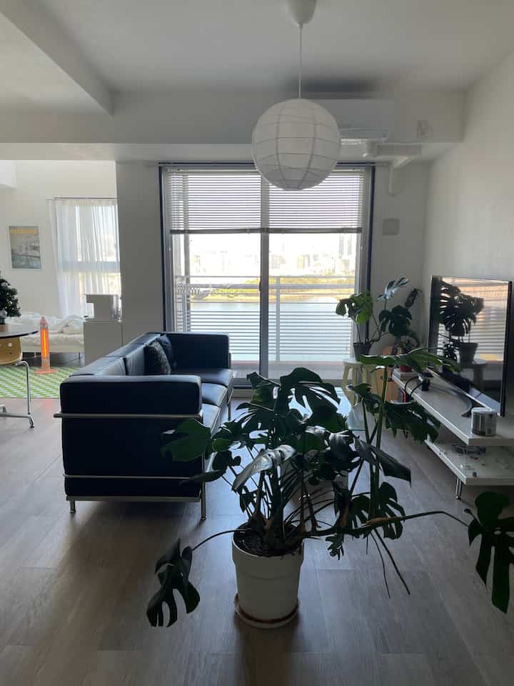 Living room in white and blue tones featuring a large blue sofa centered left, a pendant light overhead, and a Monstera plant on wood flooring, creating a modern atmosphere.