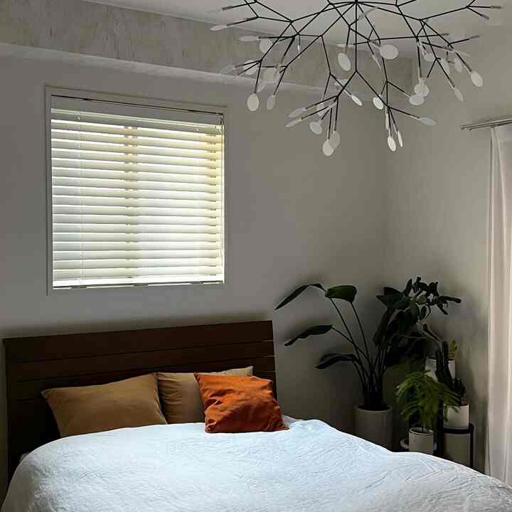 White and beige toned bedroom space featuring a wooden bed with cushions centrally, plants and a cat by the right corner creating a natural vibe