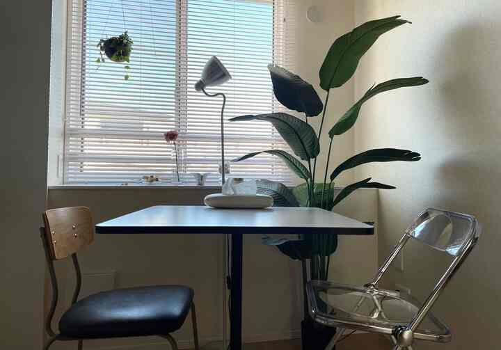 白と緑のトーンのダイニング、ダイニングテーブルと椅子、大きな観葉植物とフロアランプが配置されたシンプルでナチュラルなインテリア