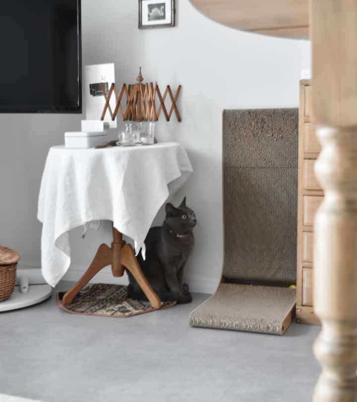 立って爪研ぎするのが好きなら猫様に。
外枠が薄い板なので安っぽさもなくインテリアに馴染みます。

最初は使い方がピンとこず床面をガリガリしていたけれど、そのうち立ってガリガリするように。ソファとか爪研ぎしちゃう子は代わりの、同じ姿勢でできる爪研ぎを用意するとしなくなるor頻度は減るそうですよ🐈♡

#猫とインテリア #猫と暮らす家 #爪研ぎ #L字型 #インテリアを邪魔しない #インテリアに馴染む #賃貸インテリア #アンティークインテリア #古家具のある暮らし #古道具のある暮らし #猫グッズ #猫アイテム