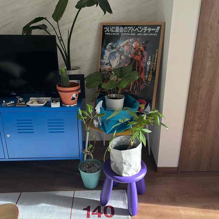 ナチュラルな木目調の床と青いスチールキャビネット、多様な観葉植物が置かれた縦長の1LDK趣味スペース