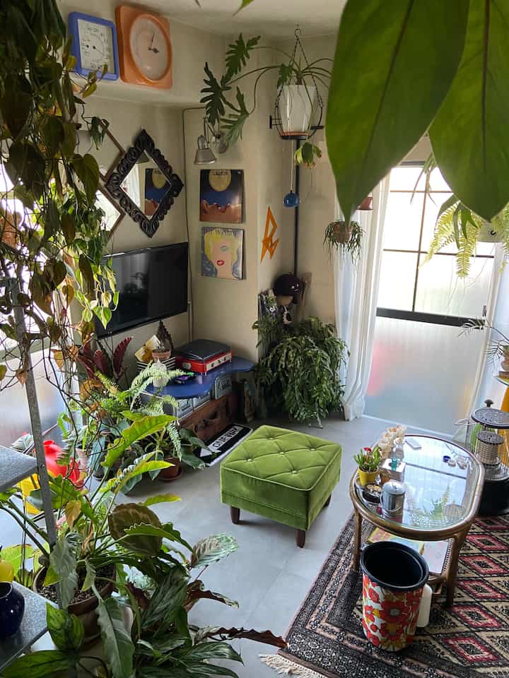 緑色調のリビングルーム、昭和レトロとミッドセンチュリーモダンの家具が配置された植物豊かな雰囲気のあるインテリア