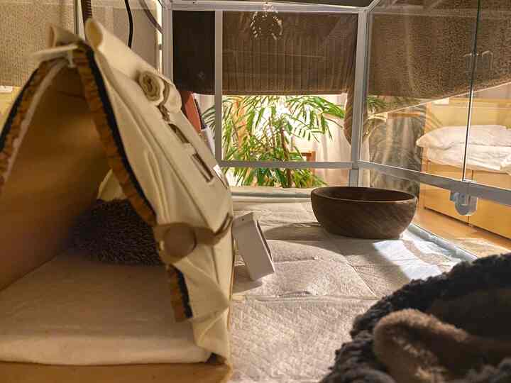 ベージュとナチュラルカラーのペットハウス内部、ハリネズミがくつろぐ印象的な空間