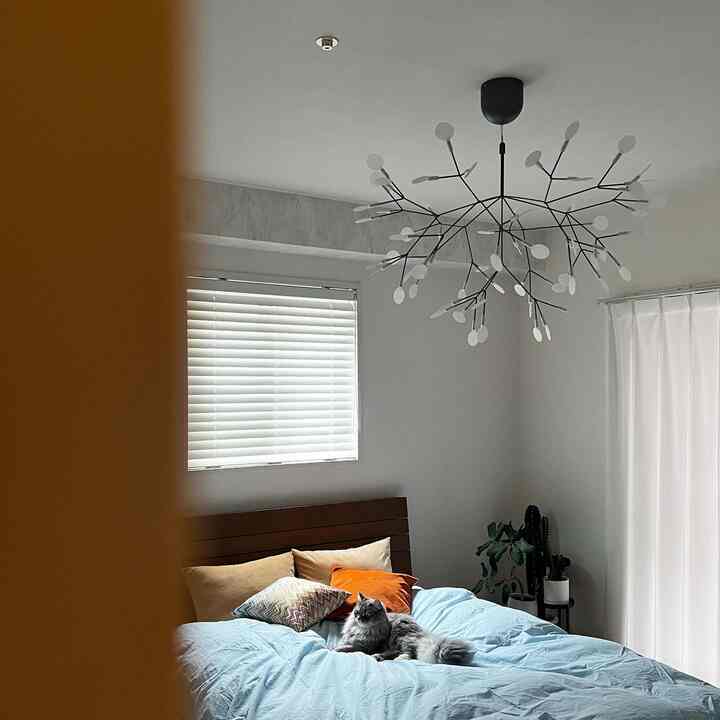 White-walled bedroom featuring a brown bed frame, blinds, colorful cushions, and a cat lounging comfortably on the bed