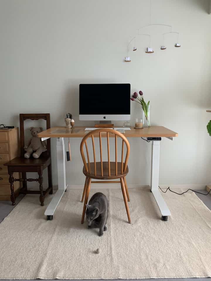 デスク周り。昇降式デスクは本当に便利です😌！60cmの奥行きと120cm幅の天板なので広々と作業できます(猫が場所を占拠しますが笑)

#デスクワーク #昇降式デスク #韓国インテリア #ワークスペース #メープル #天板 #デスク #デスクツアー #デスク周り #シンプルインテリア #無機質インテリア #アーコールチェア #アンティークインテリア #キャスター付き #ラグ #洗えるラグ #書斎 #賃貸インテリア #賃貸ワークスペース #賃貸リビング

