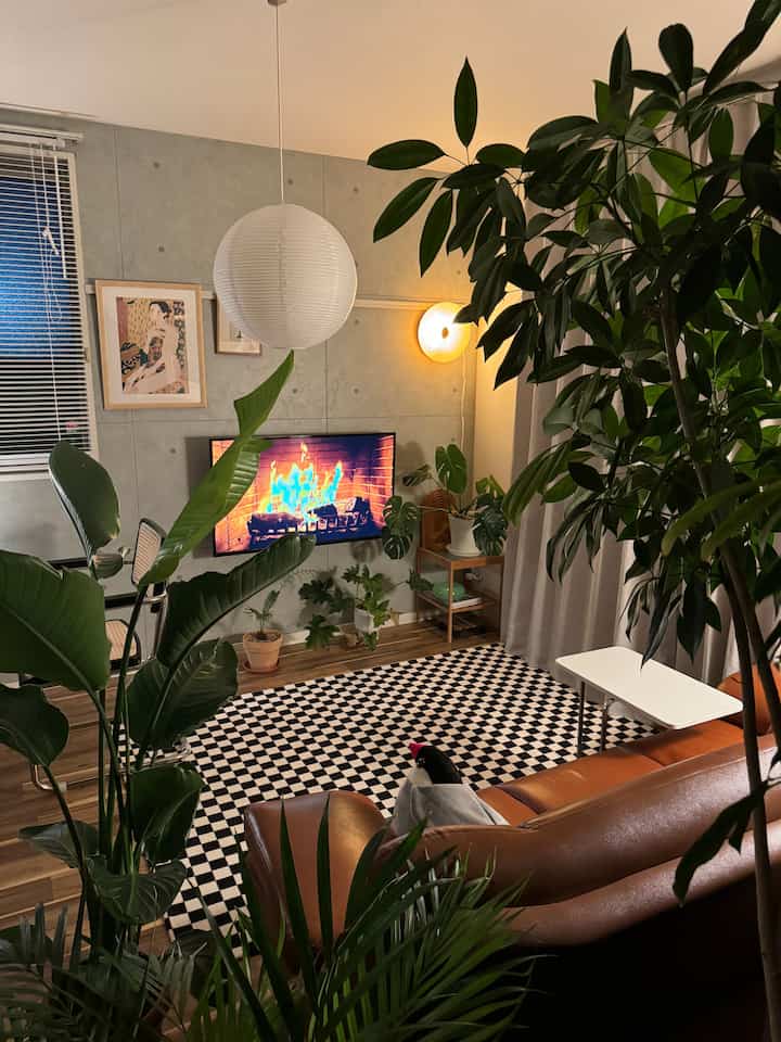 Living room with gray concrete walls and brown leather sofa, featuring a checkered rug and various plants, providing a cozy atmosphere
