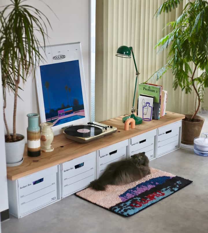 ナチュラルな木目調とグリーンのトーンが調和する棚に猫とテーブルランプ、ポスターが配置された雰囲気のあるインテリア