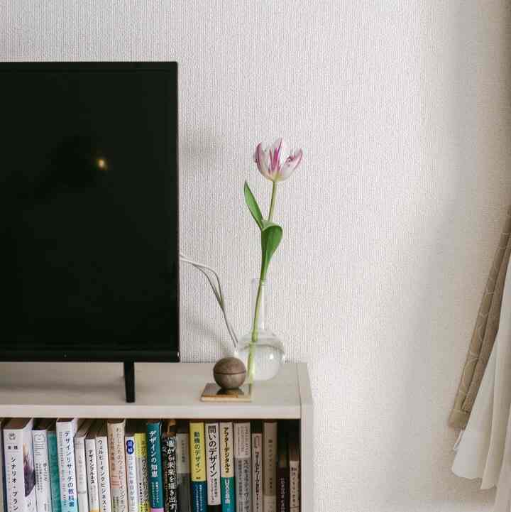 White-toned studio apartment space featuring bookshelf with clear vase holding a purple tulip, showcasing simple decor