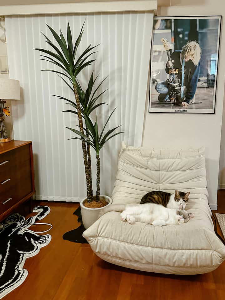 ナチュラルカラーと木目調が調和したリビング、ベージュのラウンジチェアに二匹の猫がくつろぐ雰囲気のあるインテリア