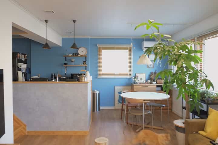 うちの壁はブルー。グリーンが映えるのでもっとモサモサにしていきたい。

#ohousesnap