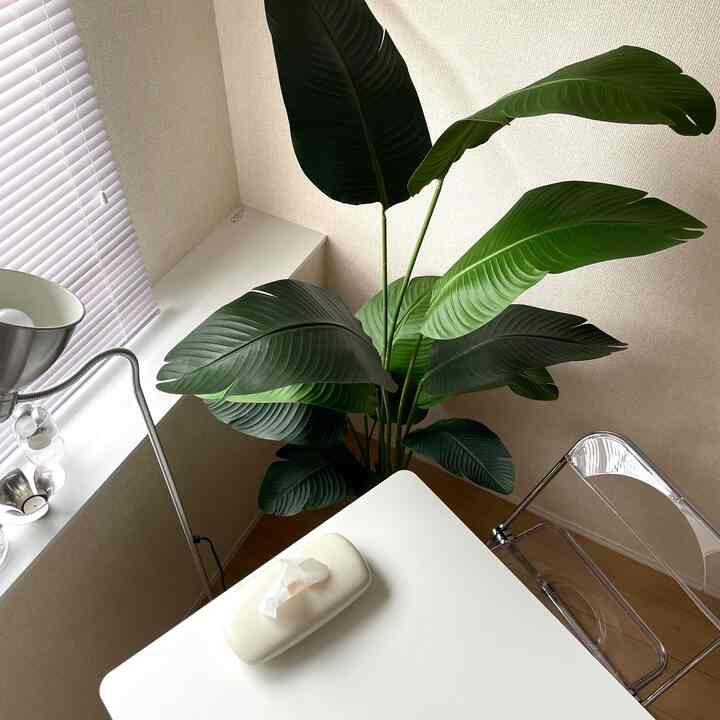 #ダイニング
#ダイニングインテリア
#テーブルコーディネート
＃韓国インテリア
#IKEA
#家
#今日の家
#ジムコック
#ホームインテリア
#自家製インテリア
#自撮り