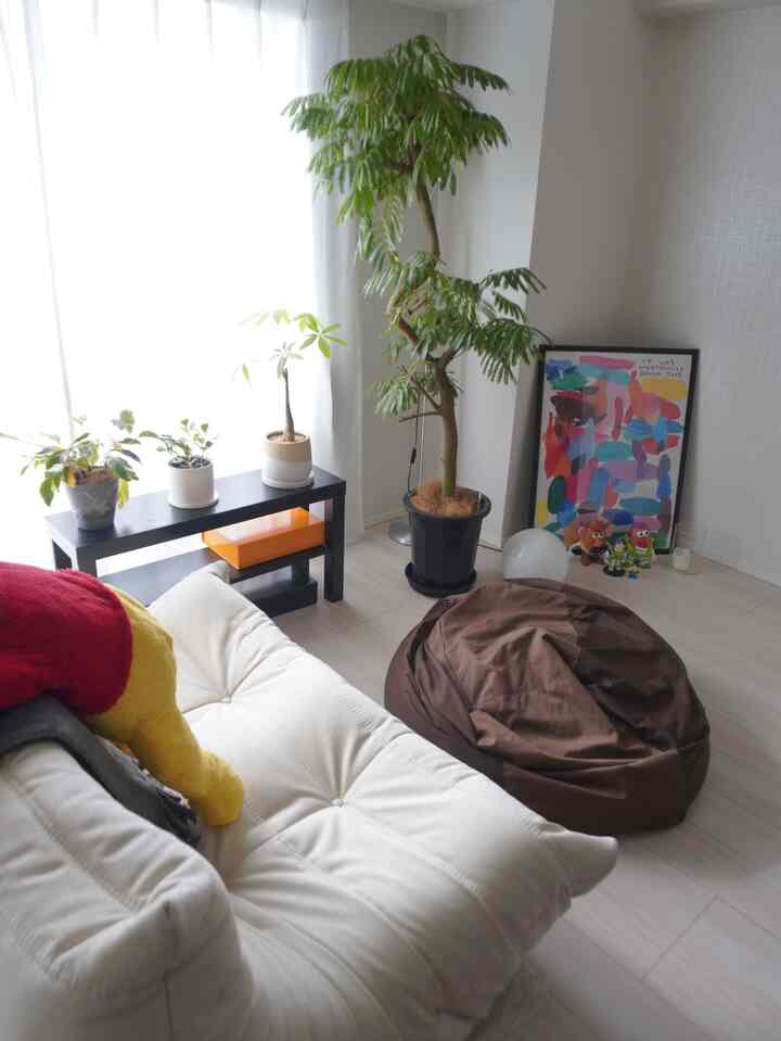 Pooh on the Togo sofa
#IKEA #rose #HAY #無印 #観葉植物 #エバーフレッシュ