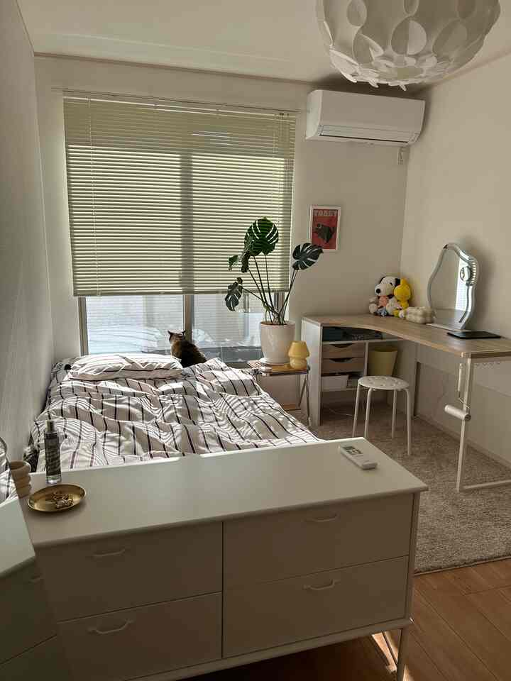 ベージュと白色調のコンパクトなワンルーム寝室、窓際に猫と観葉植物が配置された雰囲気のある空間