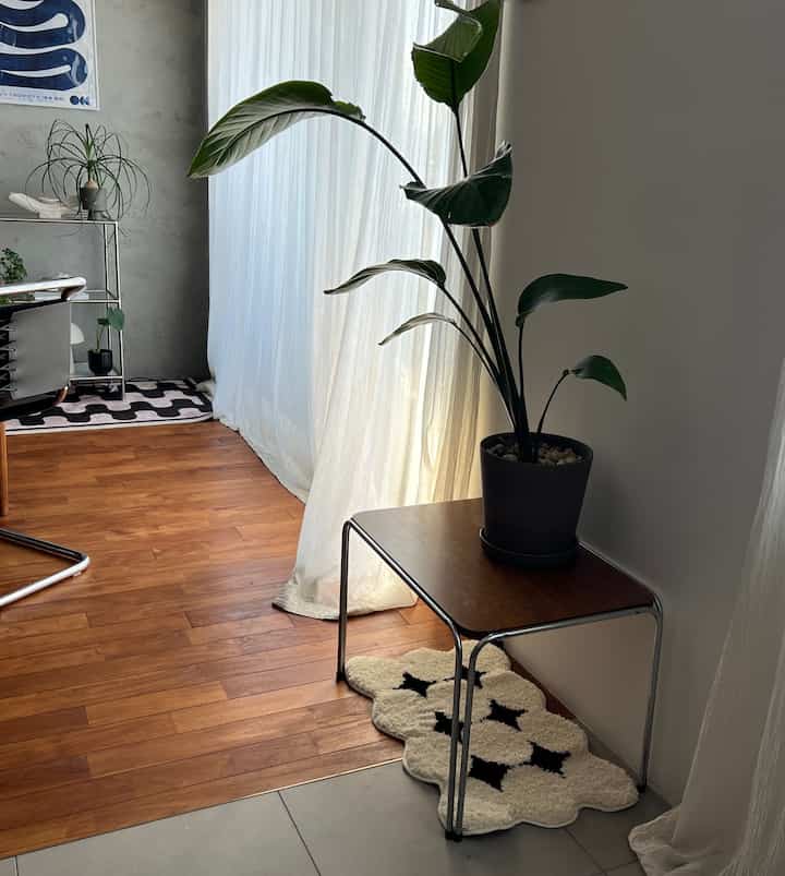 暖かみのあるウッドトーンの床と白いカーテンがあるリビング、サイドテーブルの上に植物とオブロードットのバスマットラグが配置された居心地の良い空間