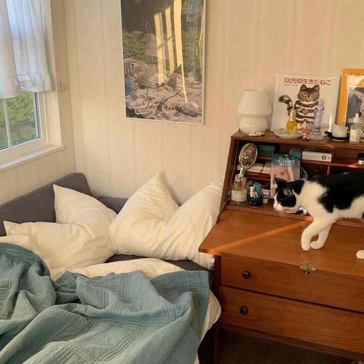 Natural-toned bedroom with wooden desk, white pillows and teal blanket on bed, featuring a black and white cat on the desk