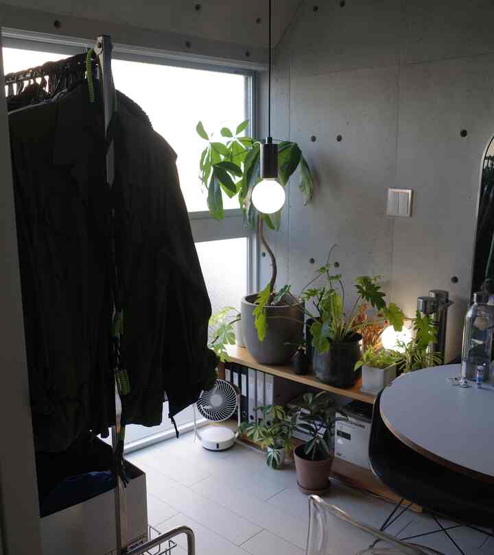 Modern compact room with white flooring, concrete walls, wooden plant stand, and wall sconce lighting