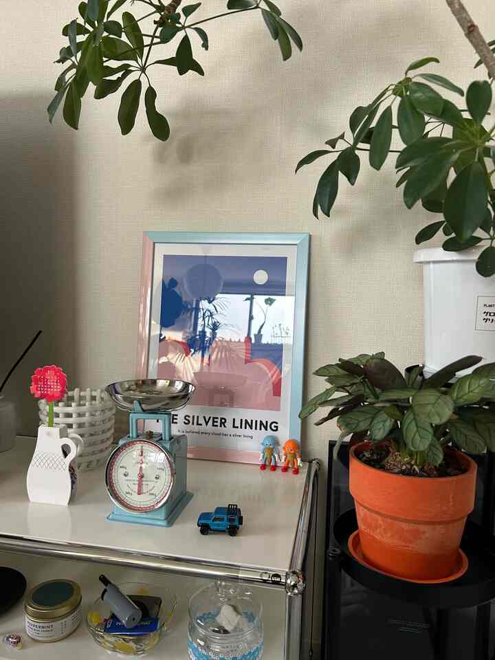 I will continue to serve as ambassador.
Thank you for your continued support this year🫶

#myroom #room #roomdesign #livingroom #roominspiration #cozyroom #roomplants
#Colorful interior #日々の暮らし #観葉植物のある暮らし
