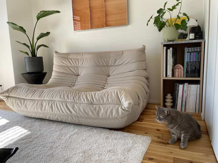 Natural-toned living room featuring a beige sofa, wooden floor, plants, and a cat sitting near bookshelf