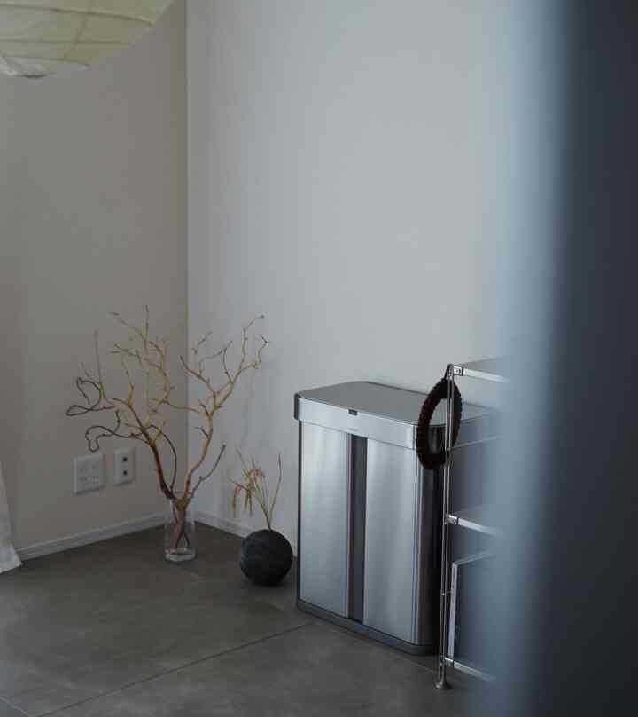 冷蔵庫越しのリビング。

床に置いてある球体は
十場天伸さんの作品です。
頭に小さな穴があいていて、
植物や枝物が挿せるようになっています。
購入時にお店でいただいた稲を
そのまま挿してます。

#グレーインテリア
#ゴミ箱
#枝物