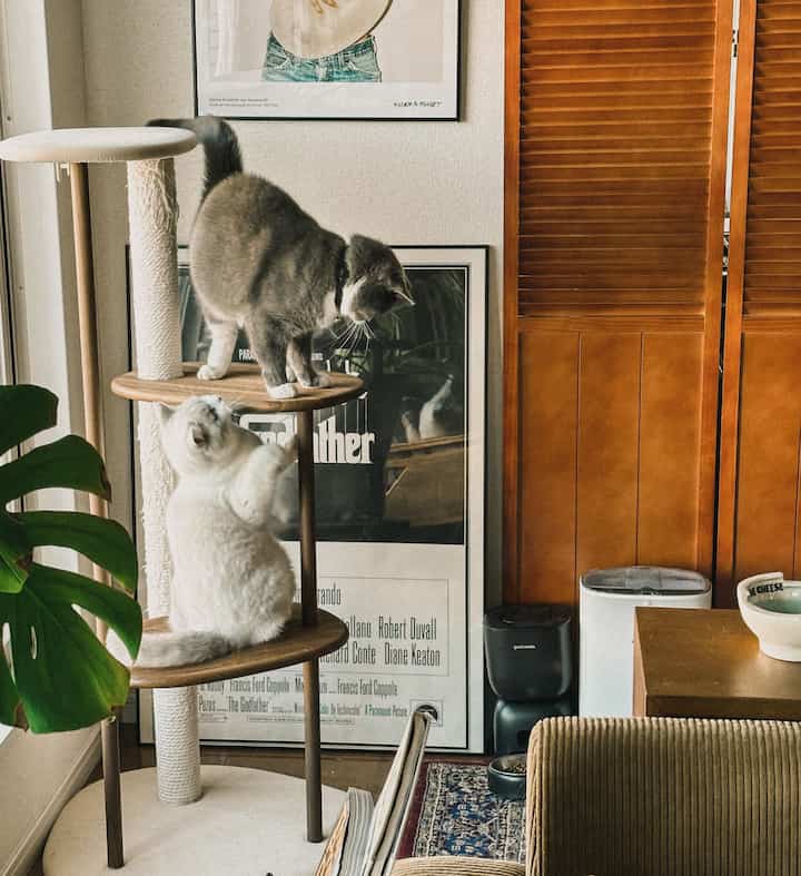 温かみのあるベージュと木目調のリビング、キャットタワーに2匹の猫がいるミッドセンチュリーモダンな雰囲気のインテリア