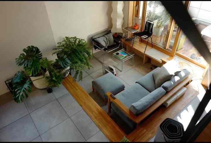 Natural wood tones and gray living room featuring sofa and plants with a cozy atmosphere