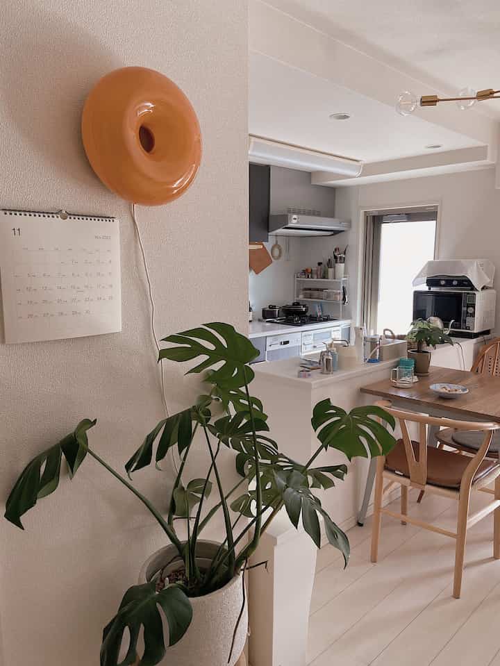 白い壁と茶色のダイニングセット、観葉植物が配置された自然な雰囲気のキッチンダイニング空間