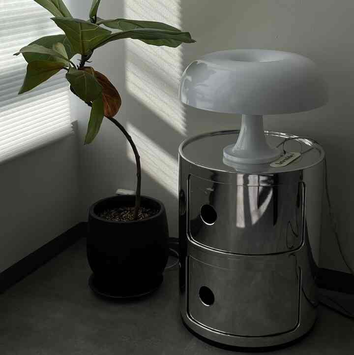 白とメタリック素材が融合したリビングの一角、テーブルランプと植物が配置されたモダンな空間