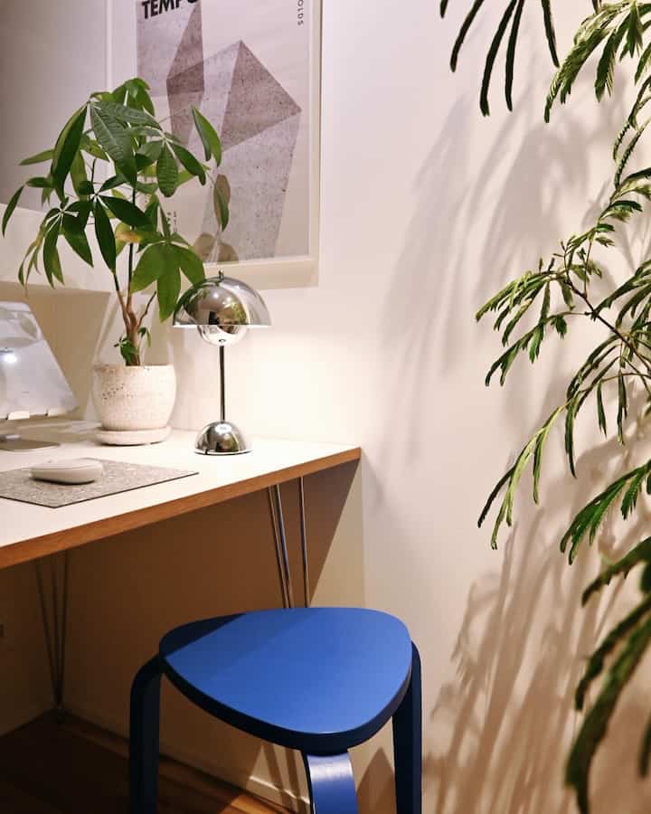 White wall and wood tone desk workspace featuring a blue stool, silver lamp, and green plants creating a clean space