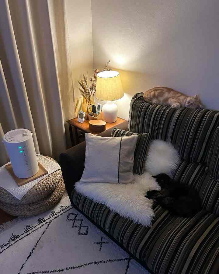 IKEAで買ったスツールのアルセーダは、床に座った時のテーブルにもちょうど良いし、2段重ねて加湿器を置いたりして便利に使っています。 

#ikea
#無印良品
#zarahome
#猫
#ふたり暮らし
#リビング
#ヴィンテージ
#ソファ