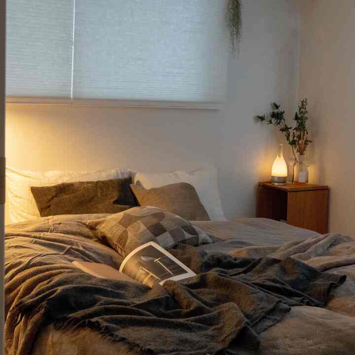 Warm natural toned bedroom with central bed and cozy pillows, simple space featuring nightstand with lighting and plants on the right