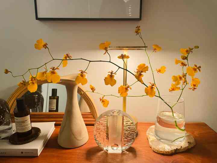 ガラスのアイテムに照明の光が当たって綺麗です✨
この一輪挿しはヴィンテージショップを営む友人からの頂き物で、東ドイツ製のもの。とってもお気に入り。
#フラワーベース #ヴィンテージフラワーベース 