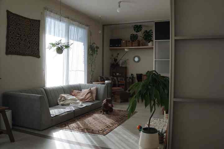 グレー調のリビング、グレーのソファとラグ、植物が配置された自然でモダンな雰囲気のあるインテリア